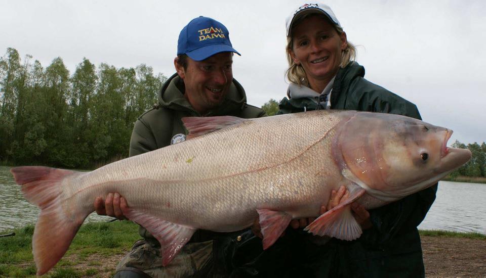 diverse 2 - 5505043681532089568298042040n.jpg